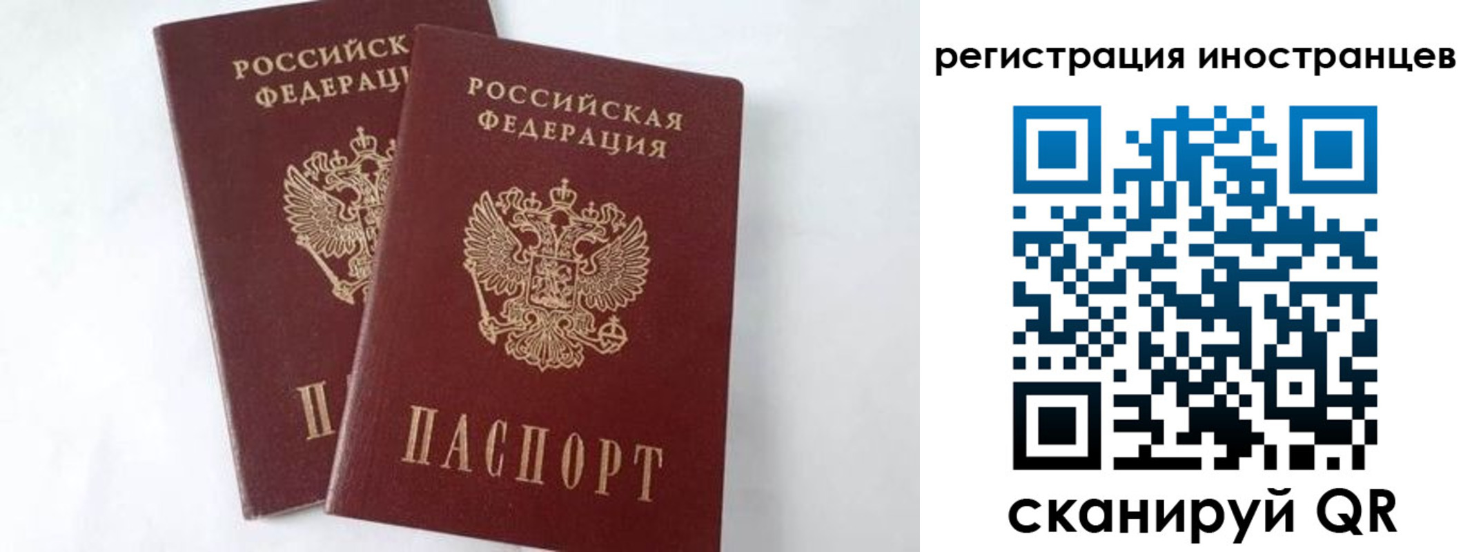 регистрация для школы в Ковдоре